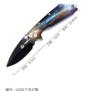 Dance Of The Undead M390 Sanding DLC Blade Titanium Alloy Handle SF Express