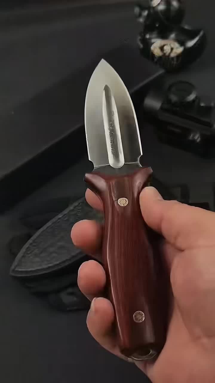 86fdcef13c8bd4e836243d0a30ff0573.mp4.pdd_.000001.jpeg Red Thorn Push Dagger